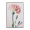 Stupell Industries Pale Carnation Budding Framed Giclee Wall Art Design by Incado